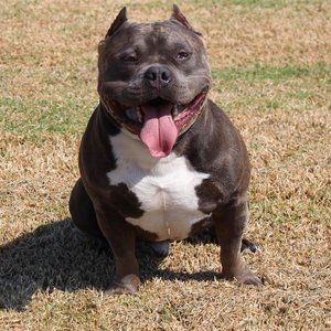 Meet your Posher, Jesus